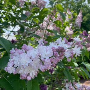 Meet your Posher, Caitlin